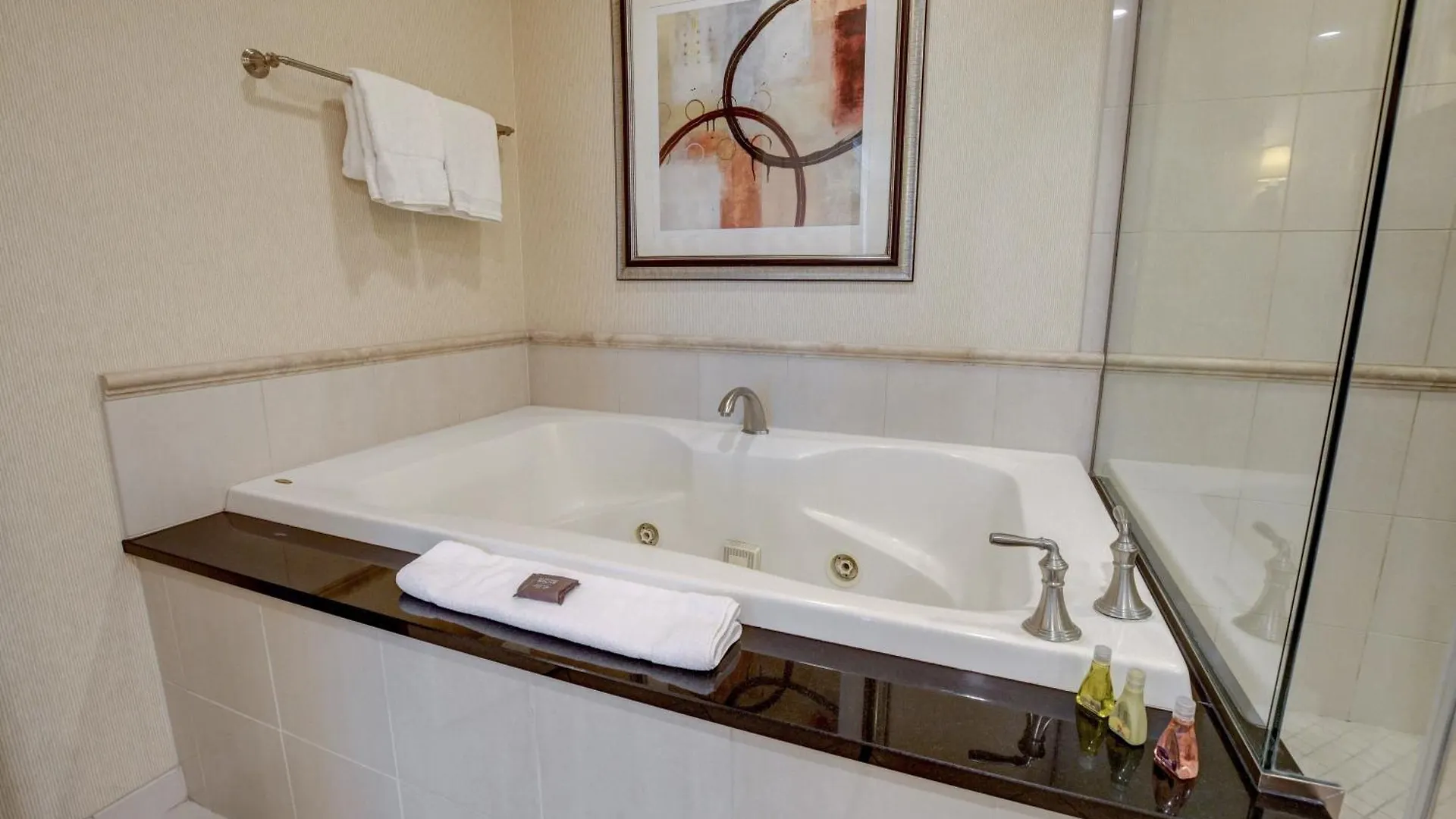 Aparthotel The Fantasy Suite Mgm Signature Pool View Las Vegas United States